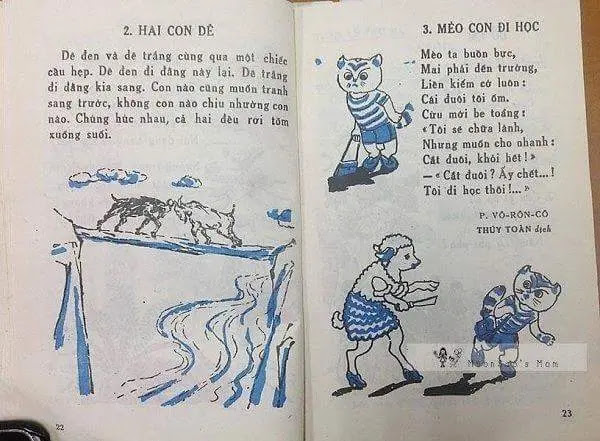 Mèo con đi học