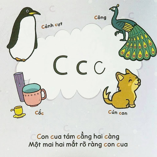 Chữ C